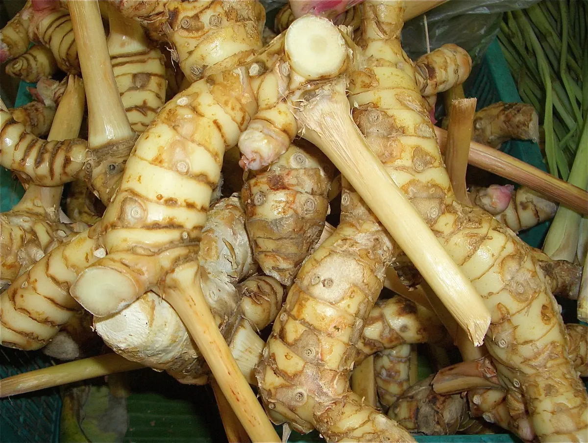 Galangal Kha Galangal root kha used in Thai soups and curry pastes
