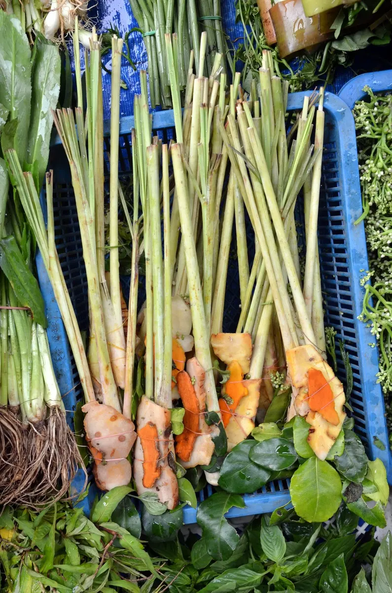 The building blocks of Tom Yum: lemongrass, galangal, makrut lime leaf, chili and lime. Fresh Tom Yum ingredients: lemongrass, galangal, makrut lime leaves, chilies and lime